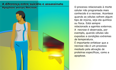 Apoptose e Necrose