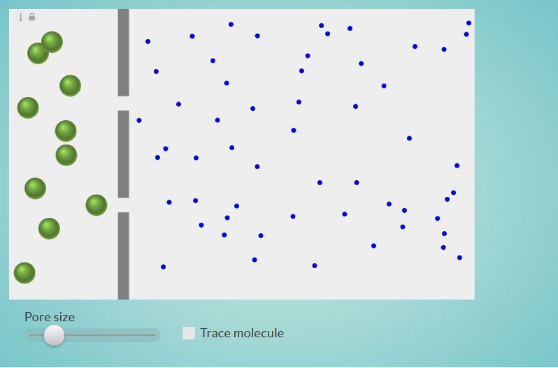 Explorando a Permeabilidade da Membrana