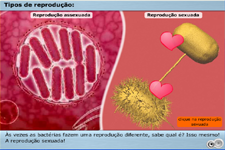 Conjugao bacteriana