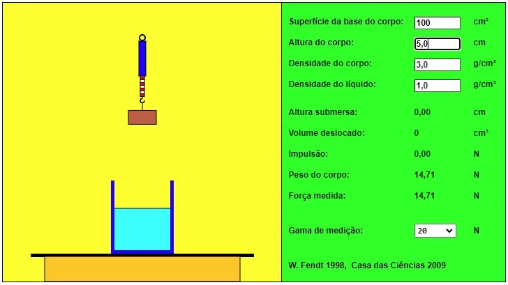 Fora de Empuxo nos Lquidos
