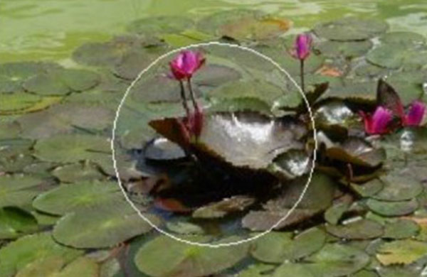 Efeitos de Lente
