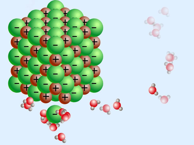 Viso molecular